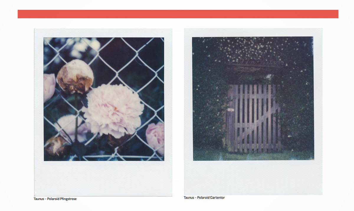 website analogfotografie