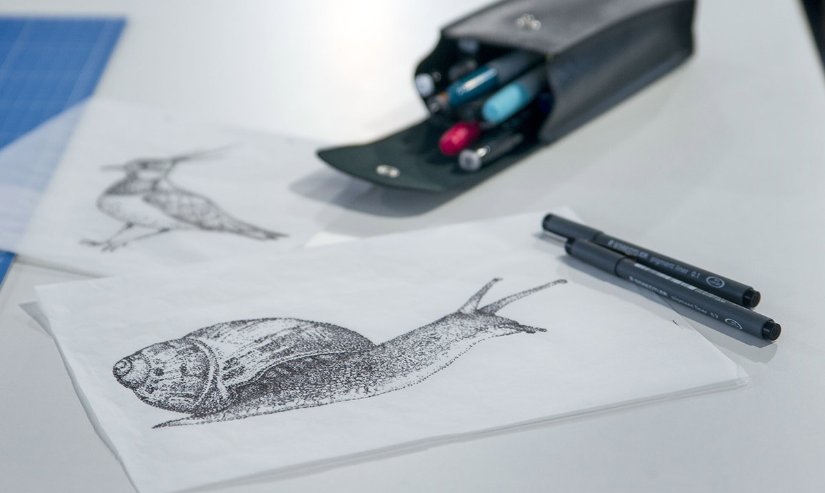 KuS_Drawing of a Bird and a Snail