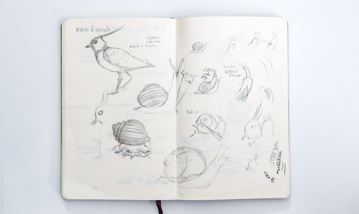 Kiebitz und Schneck _ Sketch 1