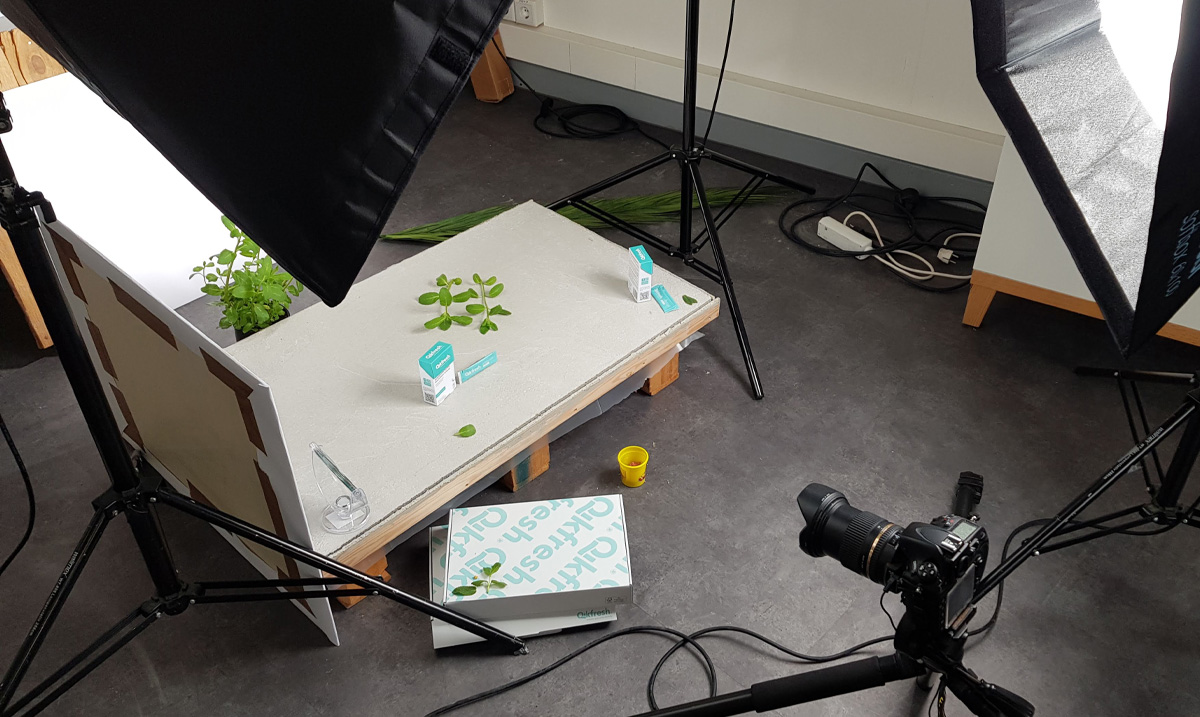 shooting behind the scenes