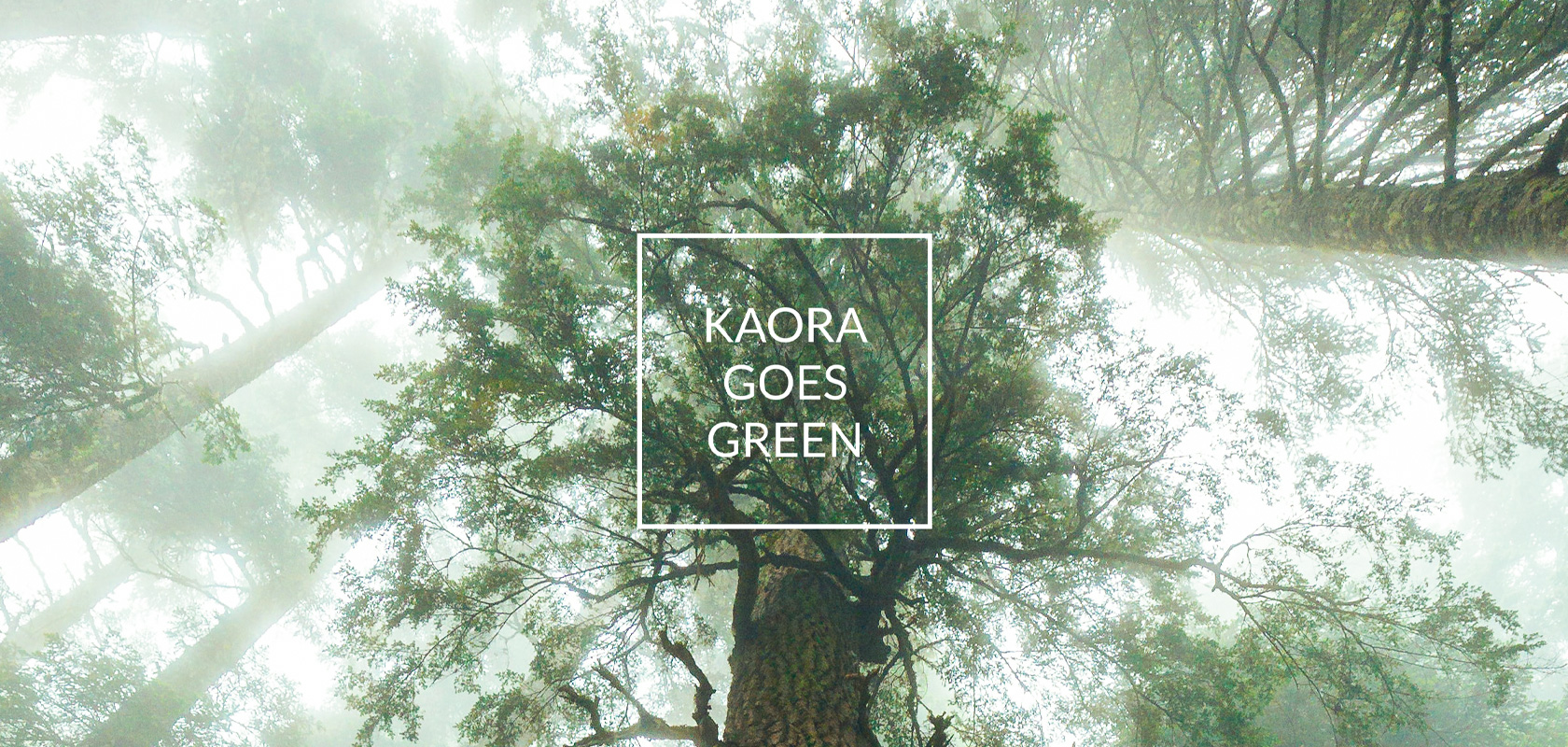 KAORA Header
